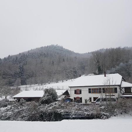 Gite Le Creux Chene Rombach-le-Franc Exterior photo